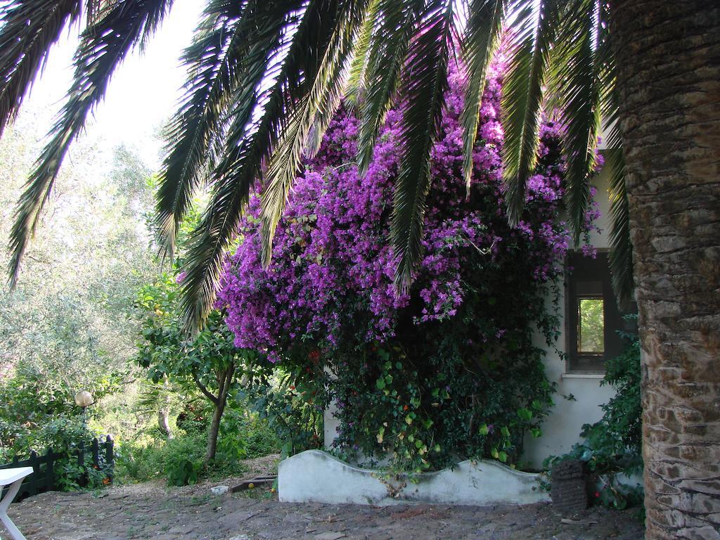 Agriturismo Su Tiresi Кала-Гононе Экстерьер фото