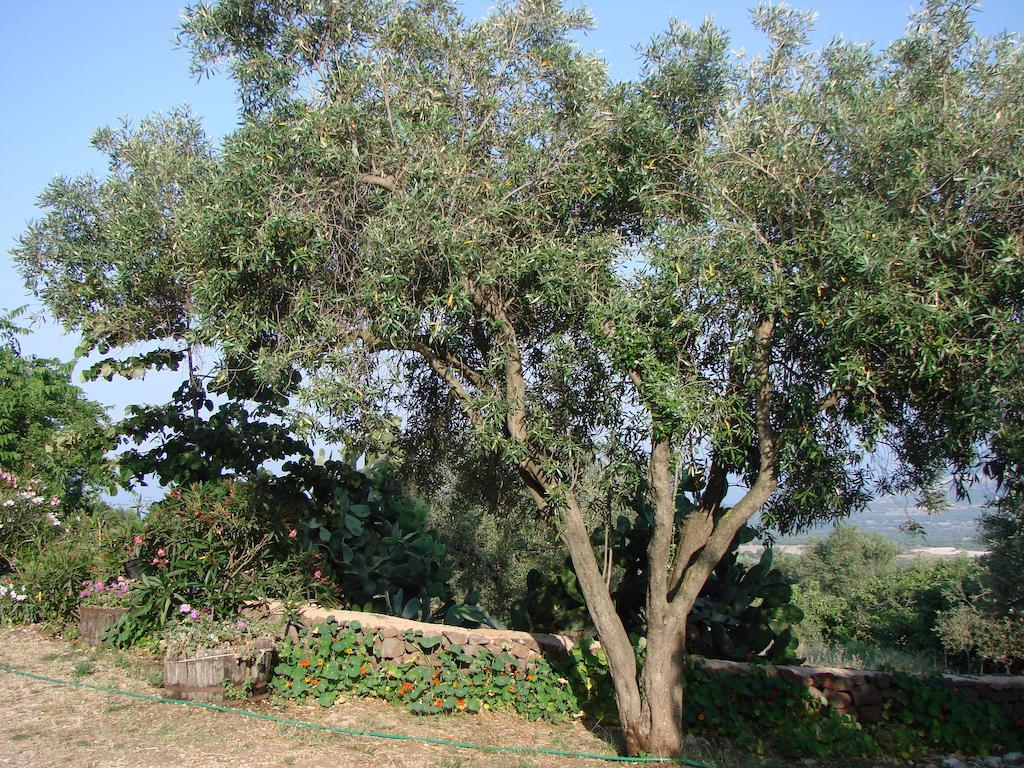 Agriturismo Su Tiresi Кала-Гононе Экстерьер фото