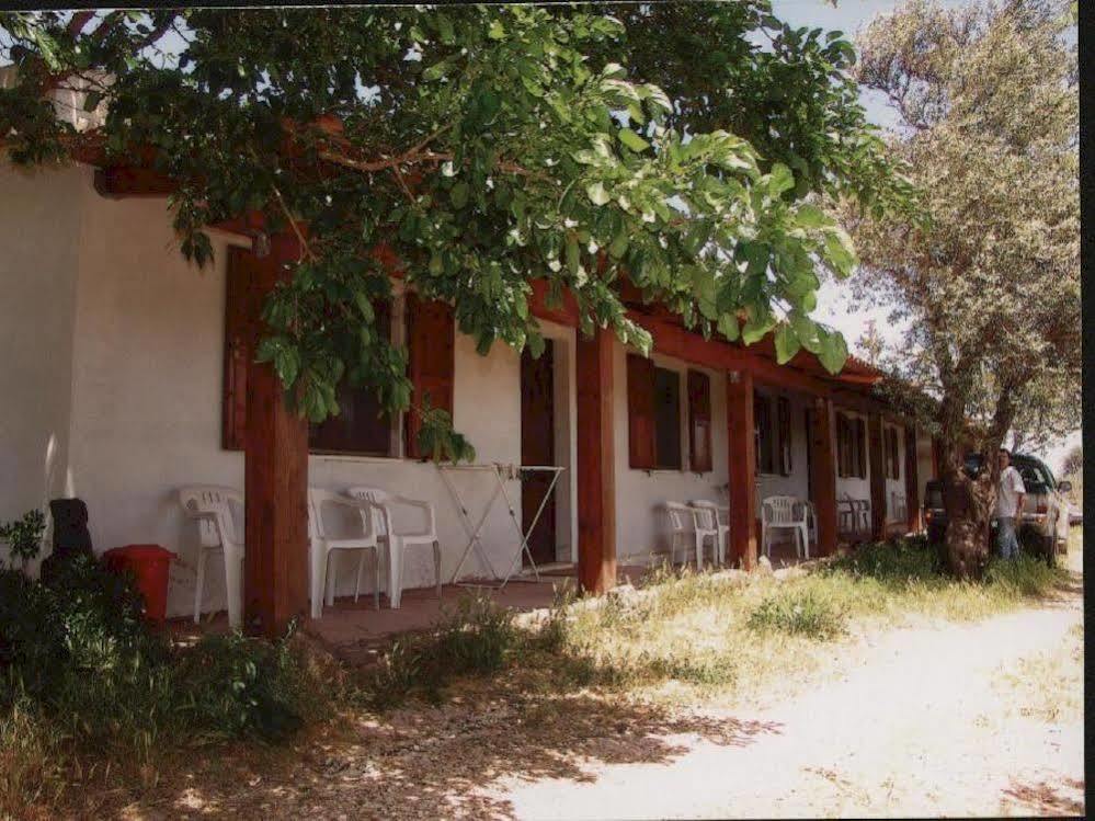 Agriturismo Su Tiresi Кала-Гононе Экстерьер фото